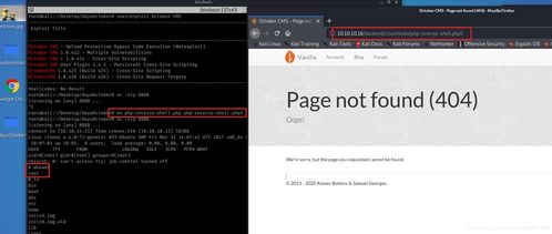 No.98 HackTheBox Linux October 渗透学习实战